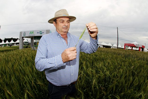 Andreas Keller Júnior, produtor rural, aposta em variedades selecionadas de trigo e consegue aumentar sua rentabilidade