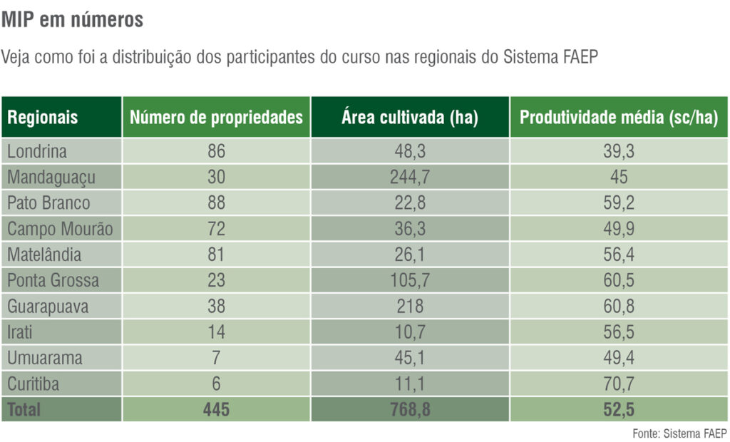 infográfico MIP