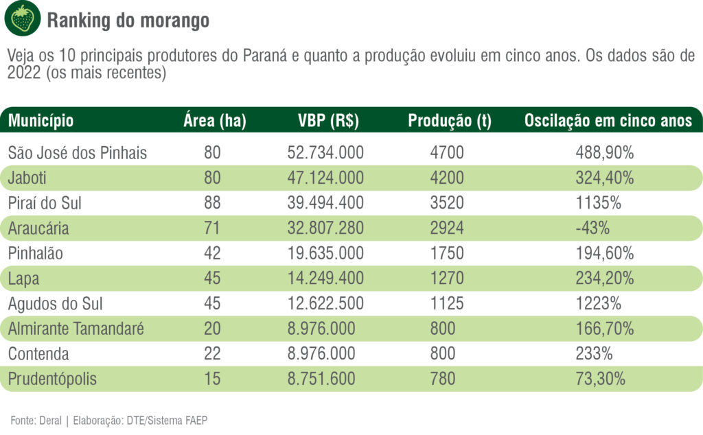 Ranking da produção de morangos